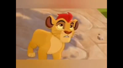 The meerkat's new groove Special edition