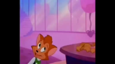 The meerkat's new groove