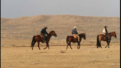 Yoli Tipo and Kuzco Llama's movie