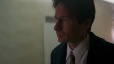 The X-Files S03e08 FRENCH.