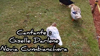 DOS GOTITAS (CUMBIA)