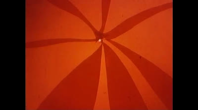 Le avventure dell Ape Magà - 51 - Pericolo nella foresta - parte 2