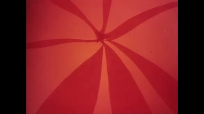 Le avventure dell Ape Magà - 64 - La seconda mamma