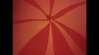 Le avventure dell Ape Magà - 65 - La famiglia riunita