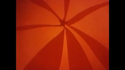 Le avventure dell Ape Magà - 52 - L insetto ombra - Jap