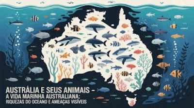Austrália e Seus Animais Part 2 - A Vida Marinha Australiana: Riquezas do Oceano e Ameaças Visíveis